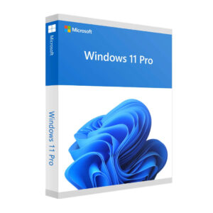 Windows 11 Profesional 64 Bit Spanish Latam #IN